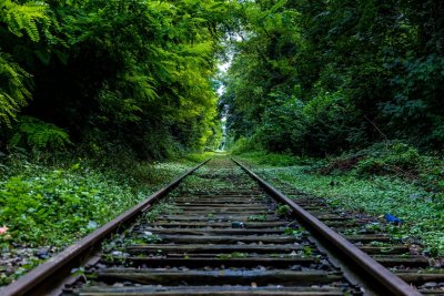 Railroad in Nature